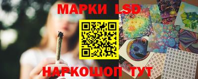 индика Пугачёв