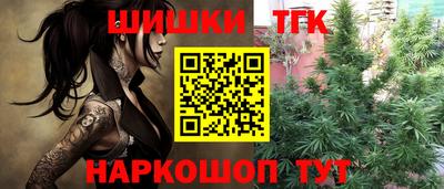 индика Пугачёв