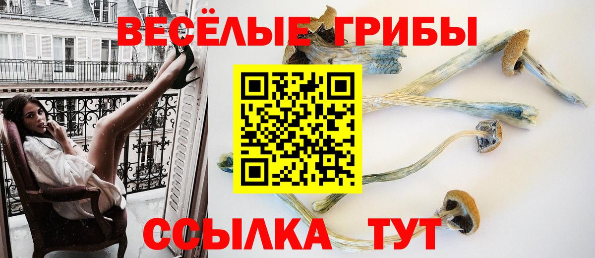 Галлюциногенные грибы Cubensis  Вход с VPN  Тосно 