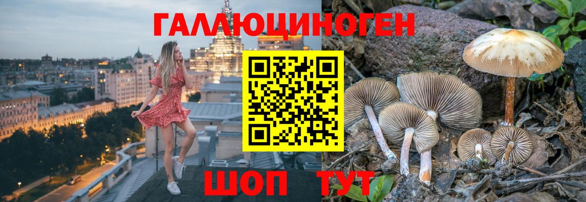 Псилоцибиновые грибы мицелий Тосно
